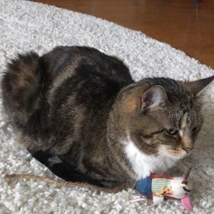 Meet your Posher, Emily